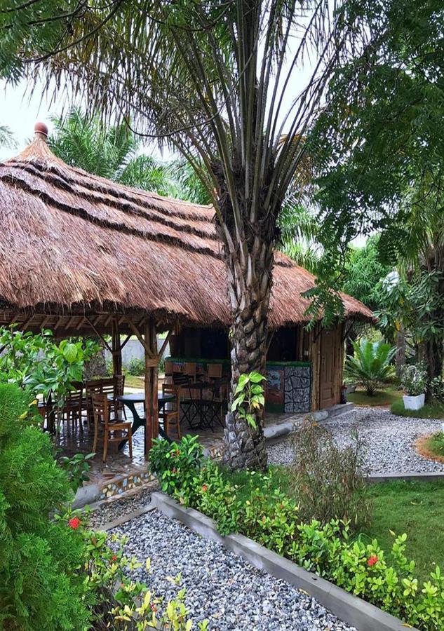 Twitter Paradise Ampeni Ngoại thất bức ảnh