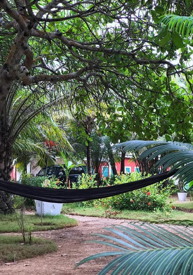 Twitter Paradise Ampeni Ngoại thất bức ảnh