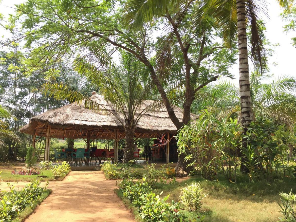Twitter Paradise Ampeni Ngoại thất bức ảnh